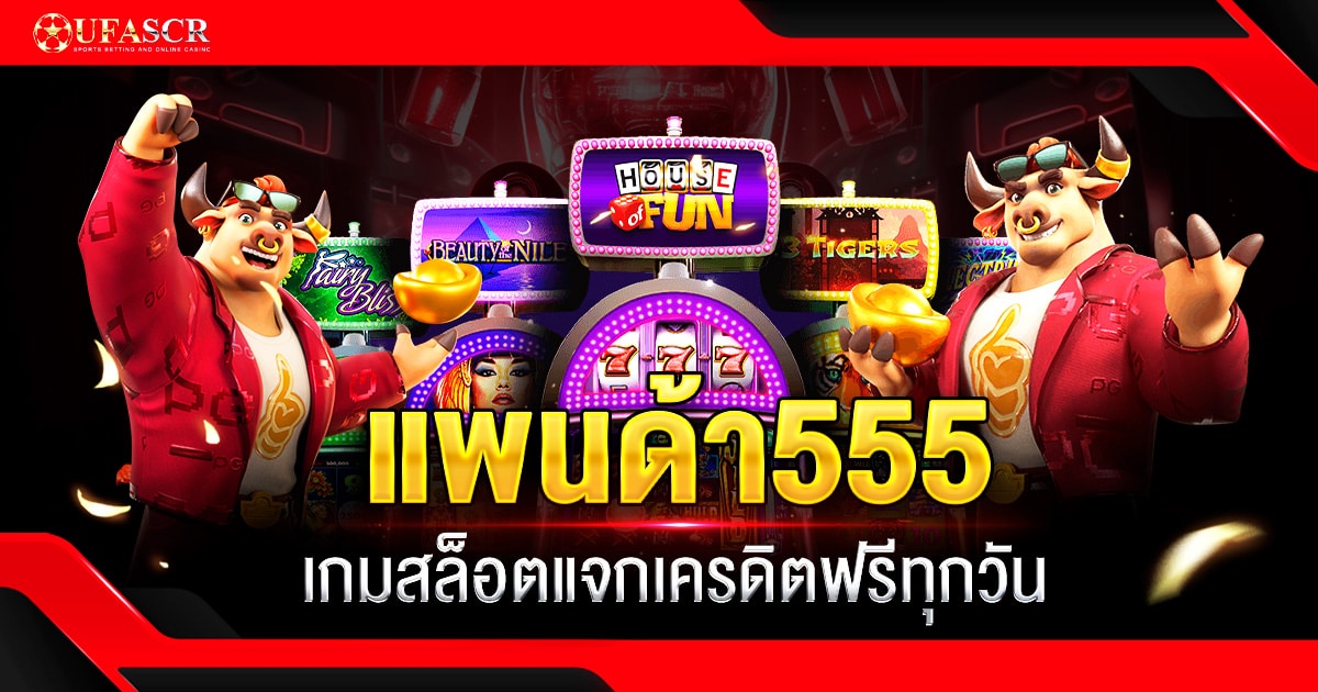 แพนด้า555